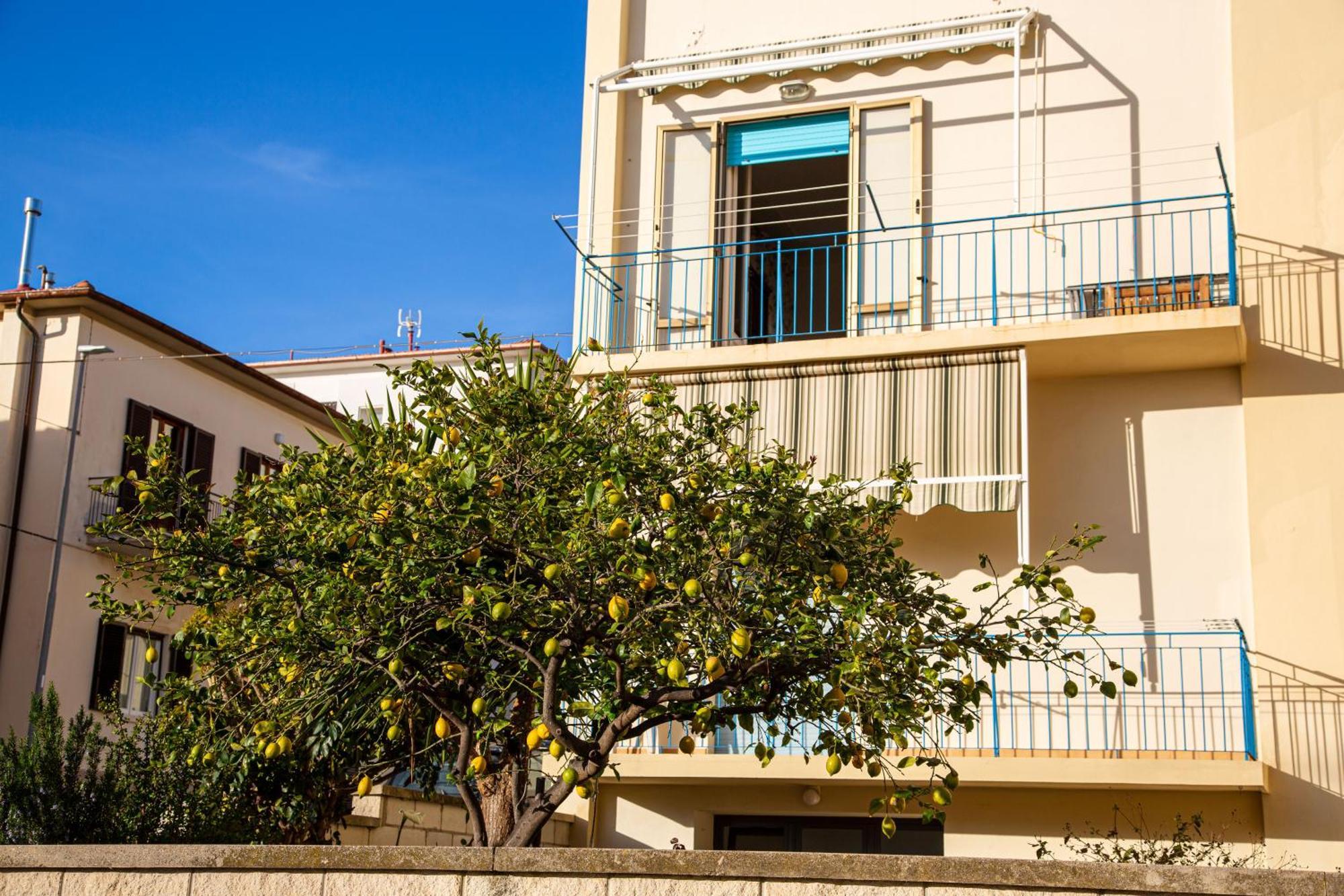 Appartamento Il Limone Zona Centrale Vista Mare San Vincenzo Extérieur photo